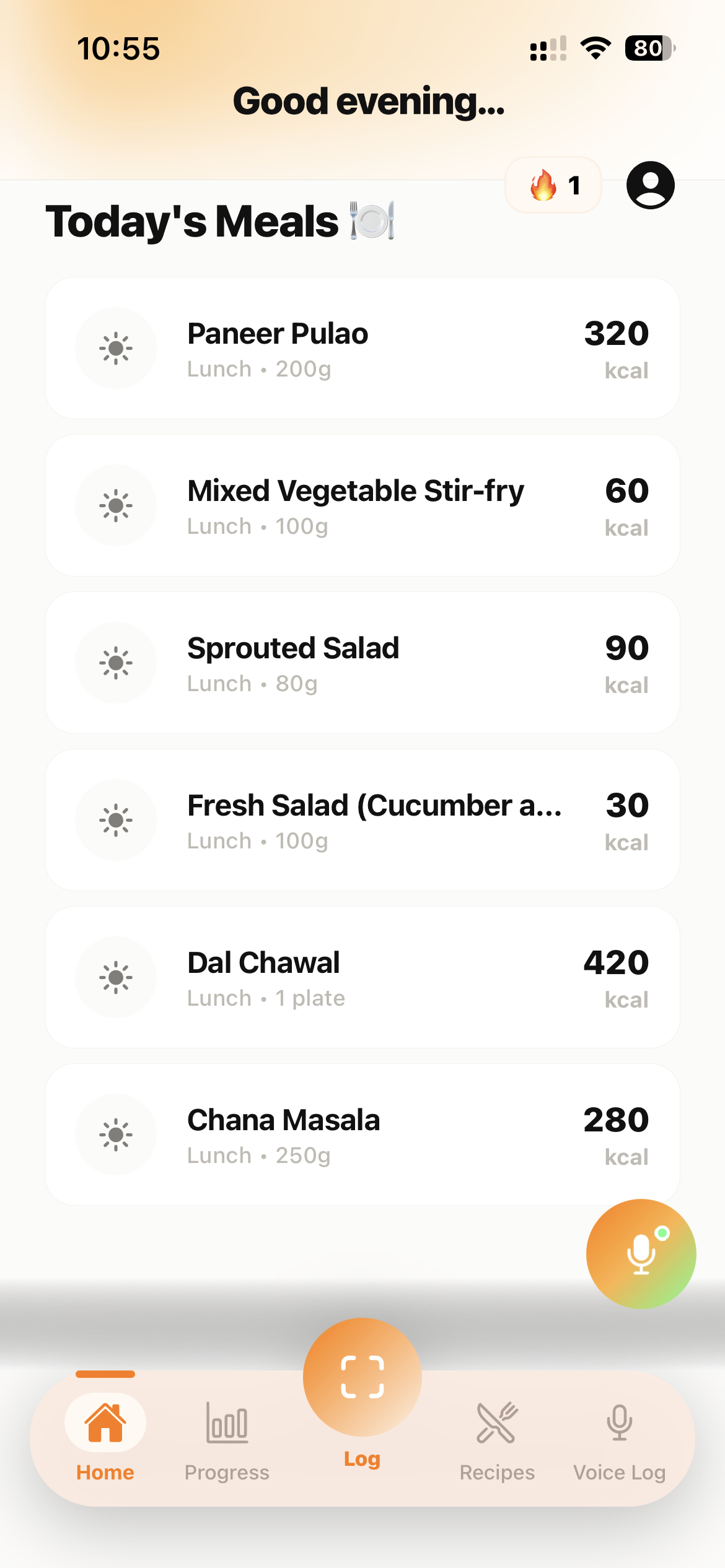 Khana AI Daily Food Log List